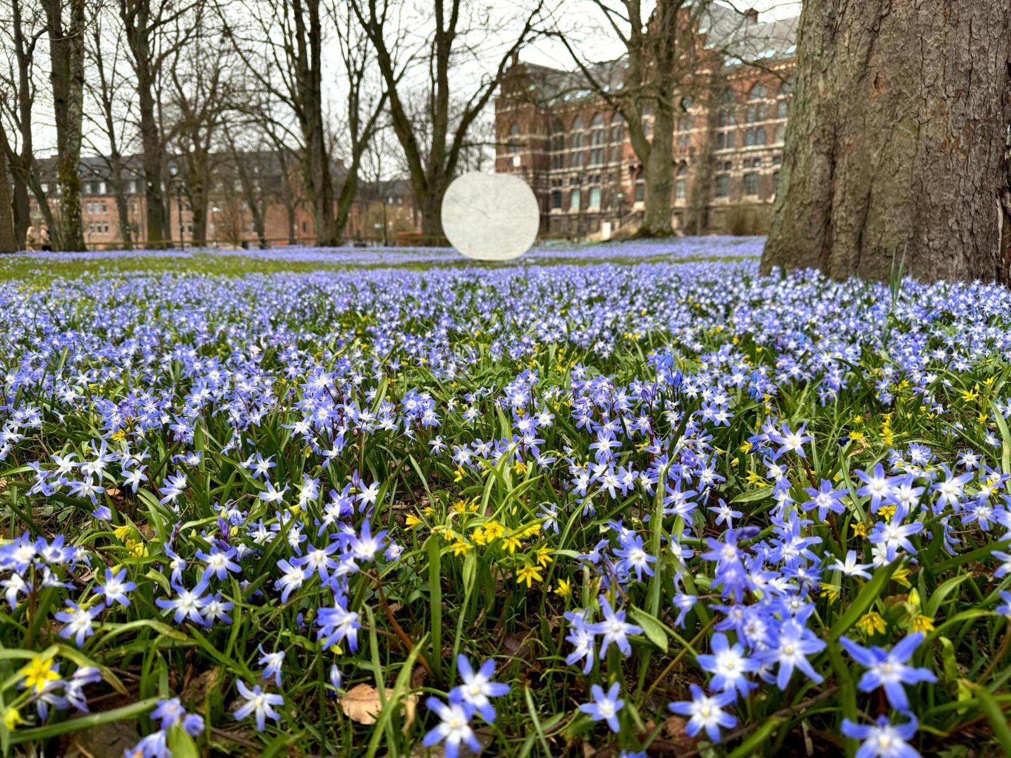 Appartamento The Embassy Lund Esterno foto